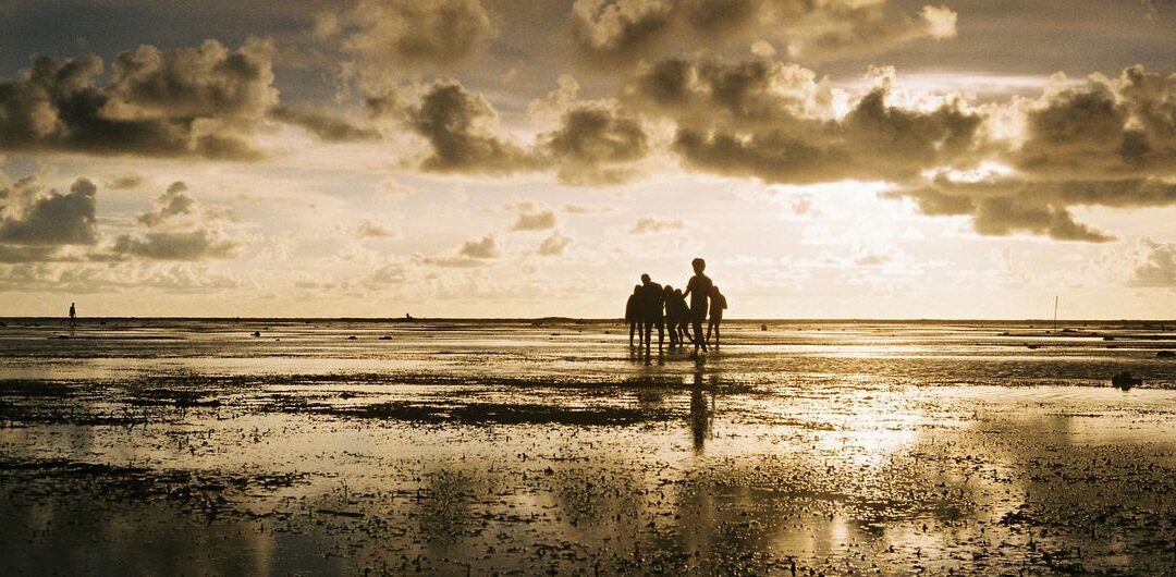 Cooling La Niña could be back, but global temperatures set to rise: WMO